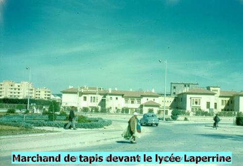 LYCEE LAPERRINE ETLE MARCHAND DE TAPIS.jpg
